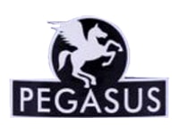 Pegasus